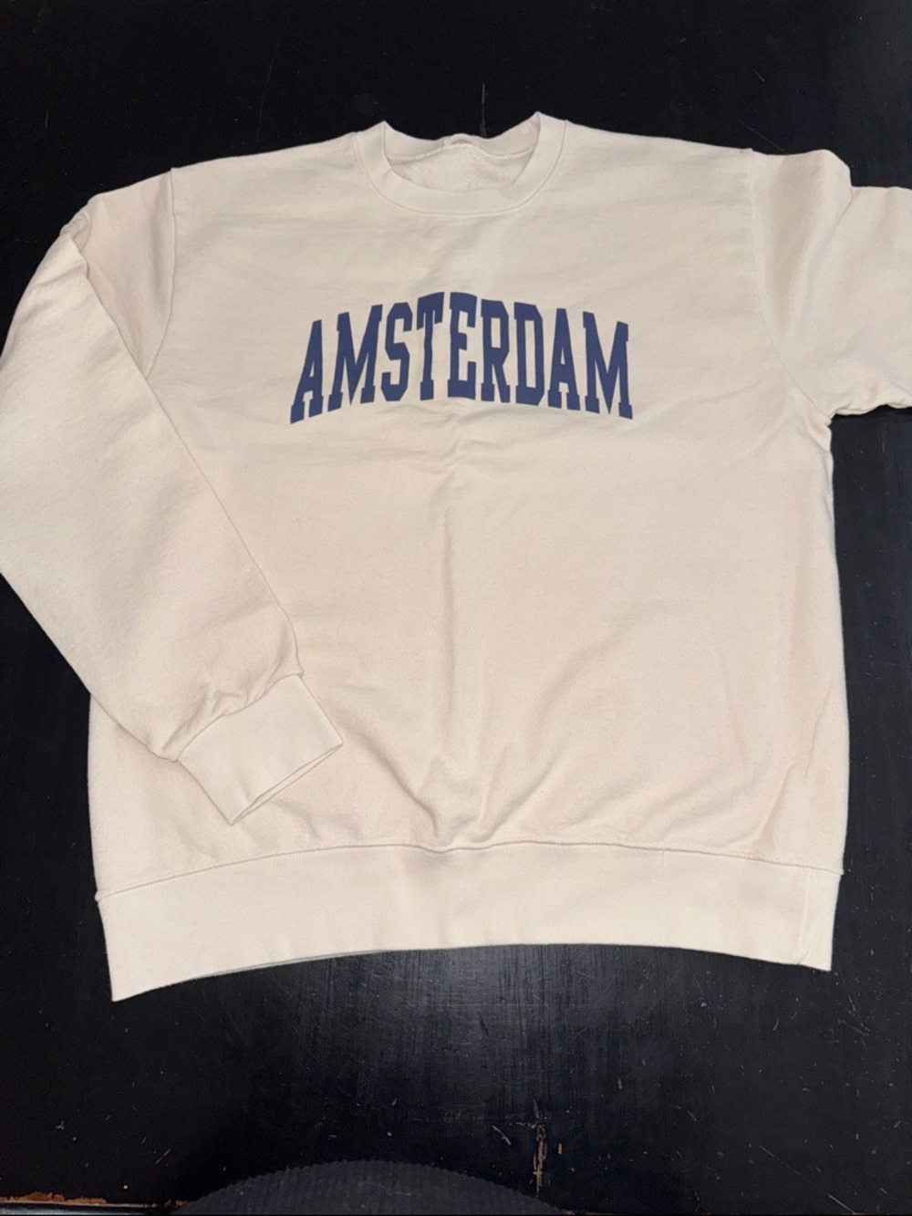 john galt for brandy melville AMSTERDAM crew neck sweatshirt. one size. like new